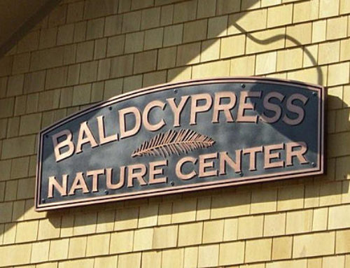 Bald Cypress Nature Center, Trap Pond State Park, Laurel Delaware