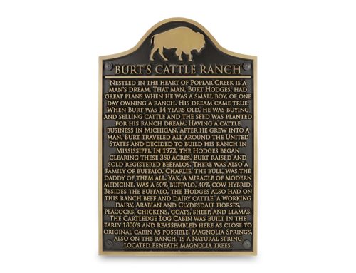 Custom metal historical plaque with raised lettering and border