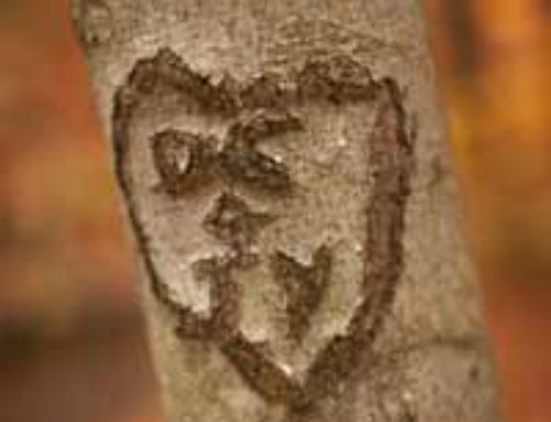 Sweet Heart Tree Carving, Without Actually Carving