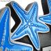 Starfish Oval Plaque - Pewter Detail with Painted Starfish Option