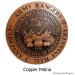 Personalized Military Plaque - Copper