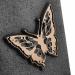 Butterfly Address Plaque - Bronze Detail