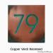 Modern Advantage Home Numbers No Border - Copper Verdi